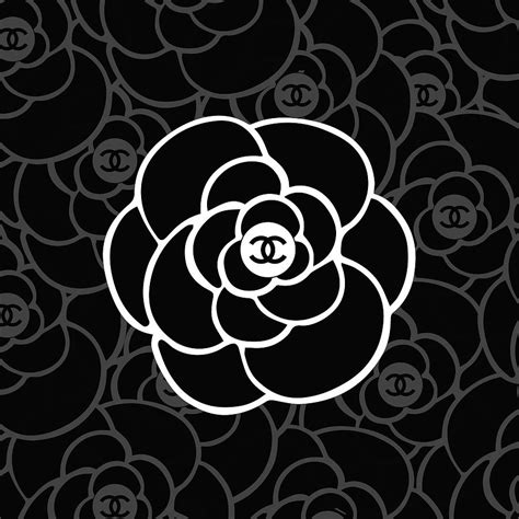 chanel camellia|chanel camellia wallpaper.